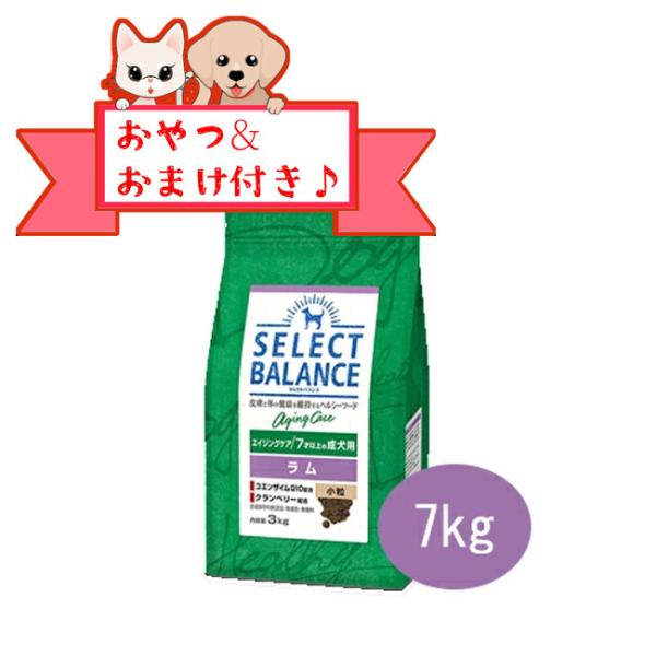 セレクトバランス　エイジングケアラム　小粒 7kg　７才以上の成犬用　正規品　おまけ対象商品