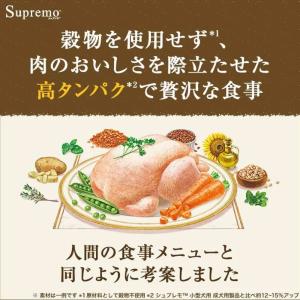 Supremo シュプレモ 超小型犬〜小型犬用...の詳細画像3