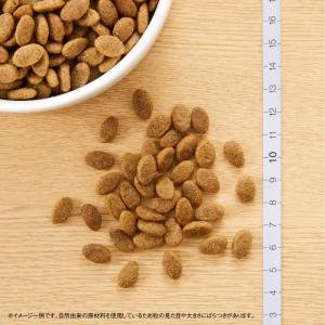 Supremo シュプレモ 超小型犬〜小型犬用...の詳細画像1