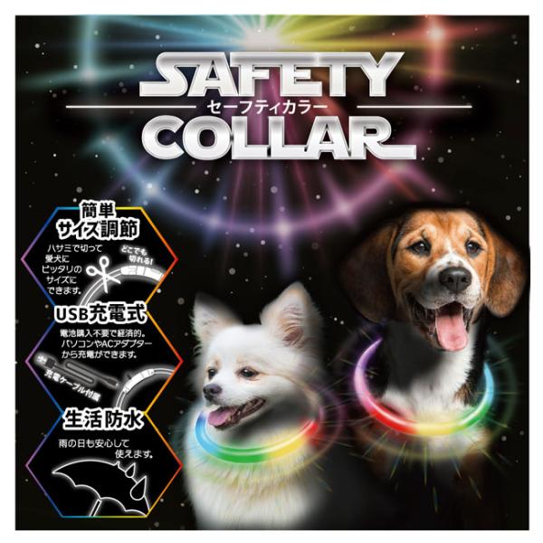 セーフティカラー ６５ スペクトラム