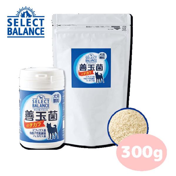 セレクトバランス 善玉菌のチカラ 犬用（顆粒）　300g