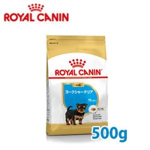 ロイヤルカナン　BREED　ヨークシャーテリア 子犬用(生後10ヵ月齢まで)　500g　正規品