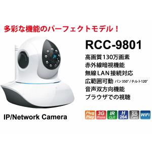 猫 カメラ ＩＰネットワークカメラ　ＲＣＣ−９８０１