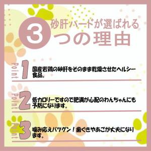犬 おやつ 業務用若鶏砂肝ハード1kg 無添加...の詳細画像2