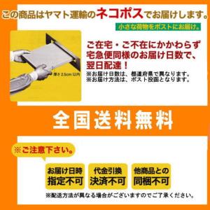 アース・バイオケミカル 薬用アースサンスポット...の詳細画像1