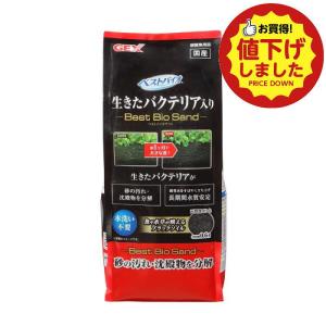 【値下げ商品E】ジェックス ベストバイオサンド 0.6L