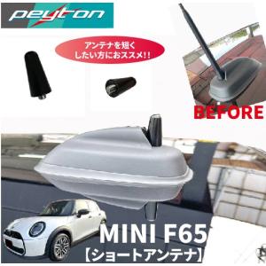  MINI ミニクーパー　純正アンテナ BMW MINI純正 ルーフ・アンテナ (標準アンテナ)(R55/R56) : APdirect