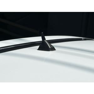 RENAULT専用 ショートショートアンテナ ...の詳細画像3