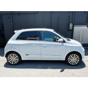 RENAULT専用 ショートショートアンテナ ...の詳細画像5