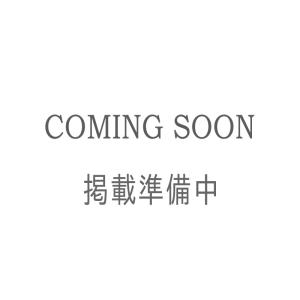 RENAULT TWINGO ドアミラーリング 2pcs トゥインゴ ルノー アクセサリー インテリア 内装 カスタム