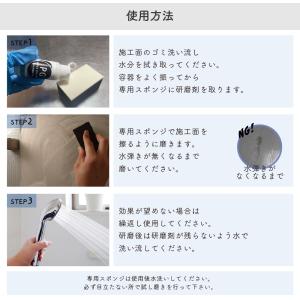 ダイヤモンド粒子配合 ガラスクリーナーPG 6...の詳細画像3