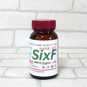 ガラス系コーティング剤 シックス・エフ SixF 100g 浴槽 シンク 洗面 トイレ その他水回り コーティング 艶 光沢 復活