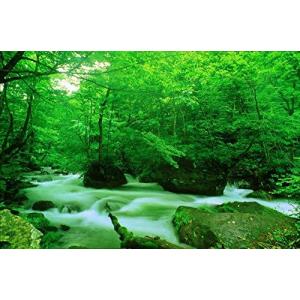 癒し 風景 写真集 芸術関連の本 の商品一覧 本 雑誌 コミック 通販 Yahoo ショッピング