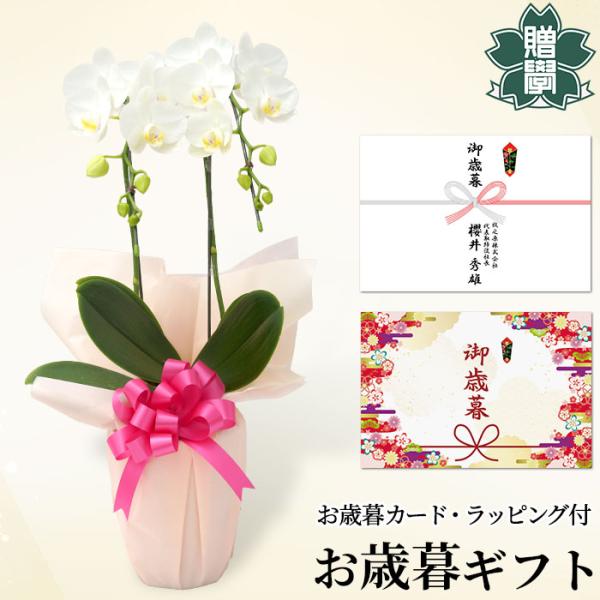 お歳暮 プレゼント ギフト 胡蝶蘭アマビリス4号 陶器鉢 ラッピング メッセージカード 洋ラン 洋蘭...