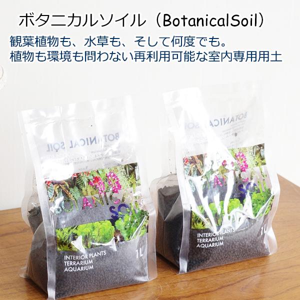 ボタニカルソイル 1Ｌ×２袋 観葉植物 土 虫がわかない 室内 清潔 栄養 黒土 多肉 サボテン 用...