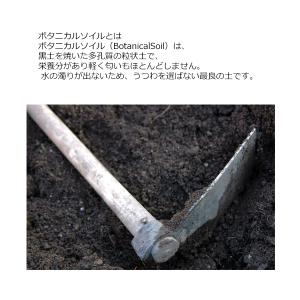 ボタニカルソイル 1L×2袋 観葉植物 土 虫...の詳細画像2