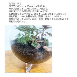 ボタニカルソイル 1L×2袋 観葉植物 土 虫...の詳細画像3