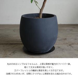 エバーフレッシュ 丸型ファイバー鉢植え ブラッ...の詳細画像3