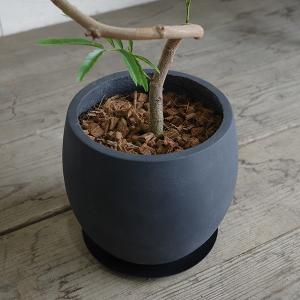 エバーフレッシュ 丸型ファイバー鉢植え ブラッ...の詳細画像4