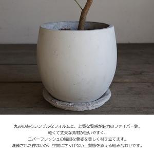 エバーフレッシュ 丸型ファイバー鉢植え ホワイ...の詳細画像3
