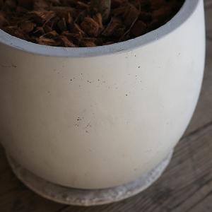 エバーフレッシュ 丸型ファイバー鉢植え ホワイ...の詳細画像4