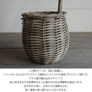 エバーフレッシュ カーブ樹形 ラタン調バスケッ...の詳細画像3