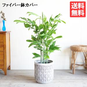 遠心式加湿器 MT5500 遠心力の作用で2,500cc/時の大噴霧量 正規販売