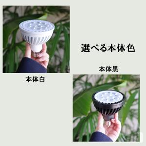 PLANTS NEXLIGHT 正規取扱店 ホ...の詳細画像1