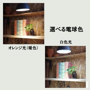 PLANTS NEXLIGHT 正規取扱店 ホ...の詳細画像2