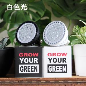 PLANTS NEXLIGHT 正規取扱店 ホ...の詳細画像5