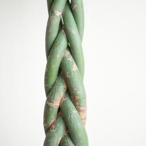 パキラ 観葉植物 10号 大型 金のなる木 お...の詳細画像3