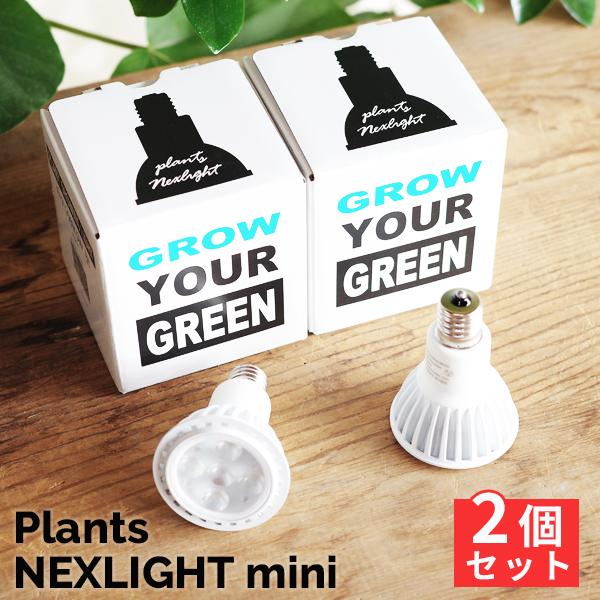 PLANTS NEXLIGHT 正規取扱店 PLANTS NEXLIGHT mini ２点セット P...