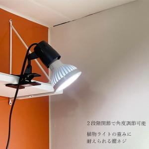 クリップソケット PLAAREA socket...の詳細画像3