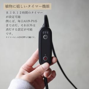 クリップソケット PLAAREA socket...の詳細画像4