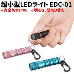 懐中電灯 LED 強力 ライト 小型 電池式 キーホルダー ミニ 携帯ライト ルミントップ EDC01 明るい