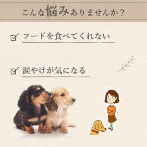 ビルジャックスモールブリードアダルト2.7kg...の詳細画像2