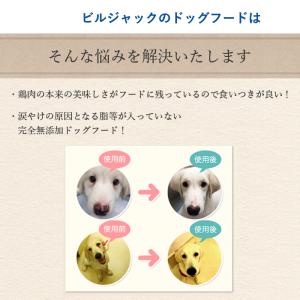 ビルジャックスモールブリードアダルト2.7kg...の詳細画像3
