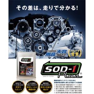 SOD-1 Plus エスオーディーワンプラス 4L D1ケミカル