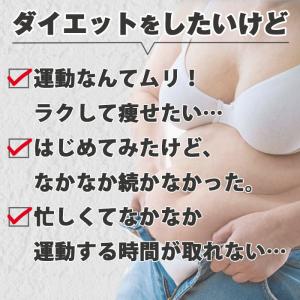ダイエットインソール 体幹筋エクササイズインソ...の詳細画像1