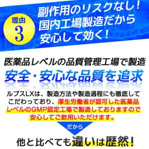 増大サプリ ≪2+1袋セット≫LUPUS LX...の詳細画像2