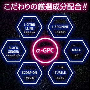 増大サプリ ≪3+2袋セット≫ LUPUS L...の詳細画像1