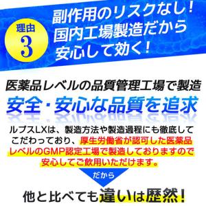 増大サプリ ≪3+2袋セット≫ LUPUS L...の詳細画像2