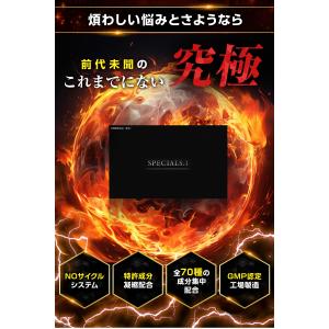 増大サプリ スペシャルワン SPECIAL.1...の詳細画像1