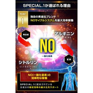 増大サプリ スペシャルワン SPECIAL.1...の詳細画像2