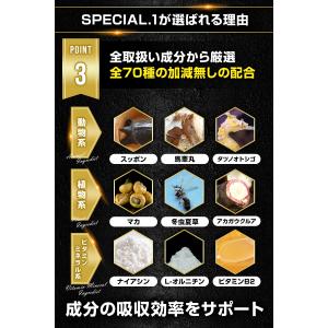 増大サプリ スペシャルワン SPECIAL.1...の詳細画像4