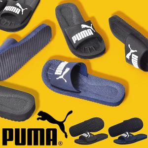 サンダル プーマ PUMA メンズ ピュアキャット サンダル シューズ 靴 プール 海水浴 海 360262｜phants