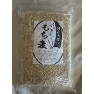 国産 ぷっちぷっちもち麦 500gの商品画像