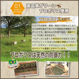 プロポリス原液 HS-01 12本セットの詳細画像1