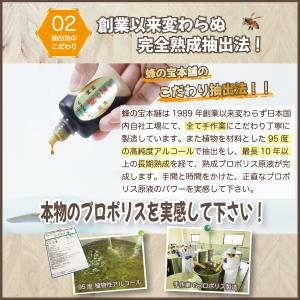 プロポリス原液 HS-01 12本セットの詳細画像2