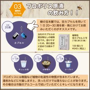 プロポリス原液 HS-01 12本セットの詳細画像3
